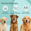 Premios - Tendones de Res Libre Pastoreo - Masticable 100%