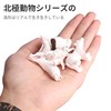 AAGWW Kids Simulated Sea Animal Model Mini Shark, Dolphin, Crab,
