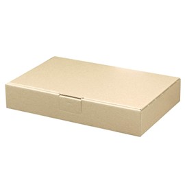 Maxi Letter Boxes 240 x 160 x 45 mm Brown DIN A5