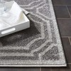 SAFAVIEH Amherst Collection Accent Rug - 4' x 6', Grey