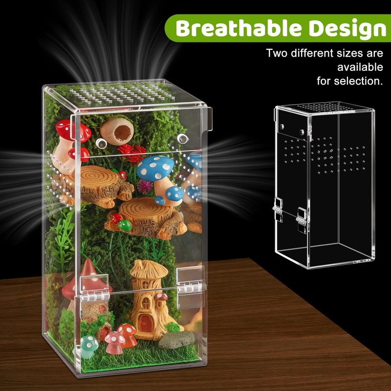 Jumping Spider Enclosure Kit Acrylic Terrarium Reptile Enclosure Accessories Insect