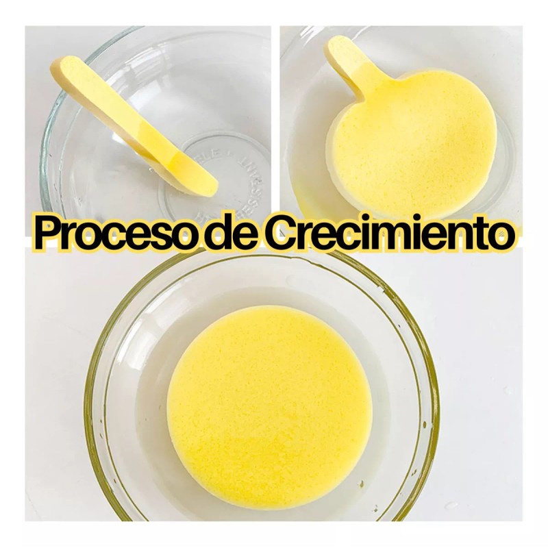 Universo en Linea Esponja Fibra Celulosa Natural Limpieza Facial Pachs