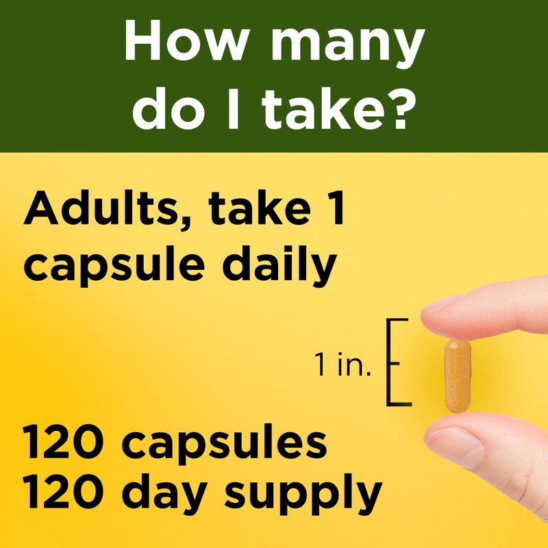 Nature Made Turmeric Curcumin 500 mg, Herbal Supplement for Antioxidant