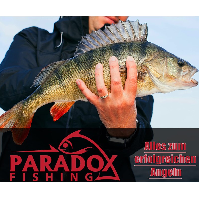 Paradox Fishing Premium Offset Hooks Set of 45 I Each
