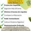 Te Desintoxicar Higado Graso Té Herbal Te Cardo Mariano 150