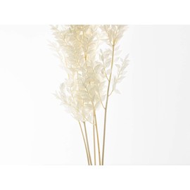 CBT Floral & Craft Dried Italian Ruscus (Approximately 30in Tall) Bleached Italian Ruscus l Preserved Italian Ruscus for Any Event's Decoration (White)