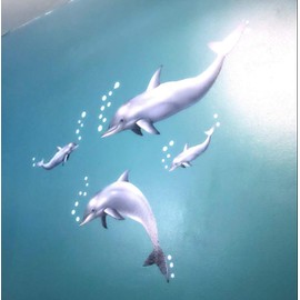 Create-A-Mural Dolphin Wall Decals ~Under The Sea Ocean Kids Room Decor Stickers, Removable Peel and Stick Art