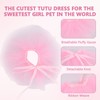 Dog Ballet Tutu for Dogs Small Dogs Ballet Tutu for