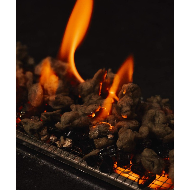 GASPRO Gas Fireplace Embers, 10 Oz. Glowing Embers for Gas