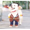 NACOCO Pet Dog Costume Pirates of The Caribbean Style (Medium)