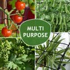 3 Pack Grow Tent Trellis Netting 2x4', Heavy Duty Elastic