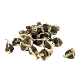 Moringa Oleifera Seeds (Semillas de Moringa) / Weights: 1 oz, 3 oz, 5 oz, and 10 oz! (10 oz (1000))