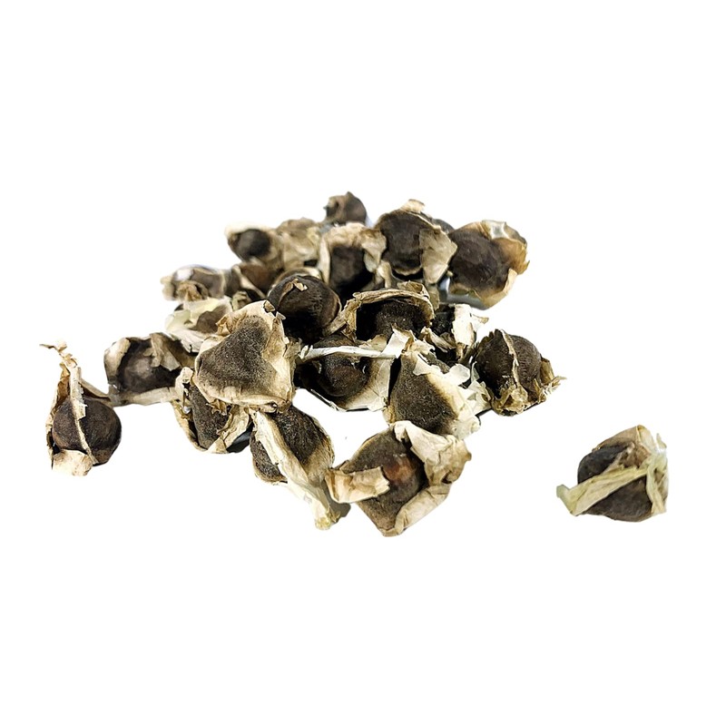 Moringa Oleifera Seeds (Semillas de Moringa) / Weights: 1 oz,