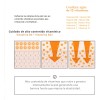 Serum Facial Multivitaminico Coreano Dermashare 60 Ml