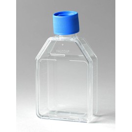 Flask, Cell Culture (353109)