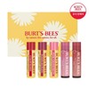Burt's Bees 버츠비 G001_러블리립밤 5종 세트 Burt's Bees G001_Lovely Lip Balm 5-Piece Set