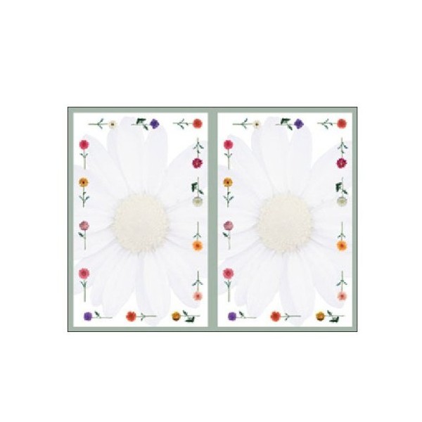 Masterpiece Daisies 2-up Invitation - 8 Sheets & 16 Envelopes