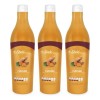 Curcuma Concentrado Con Pulpa D Fruta 400ml Shelo Nabel S621
