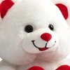 Heart Plush Bear with Teddy Bear I Love You and