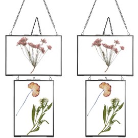 LOSYHU 4 Pack 5" x 7" Pressed Flower Frame Black Glass Hanging Frames with Chain, Vintage Pressed Photo Frame Floating Pressed Picture Display Frames for Dried Flower Plant Specimen