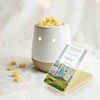 Scented Wax Melts, Wax Melts Wax Cubes, Soy Wax Cubes
