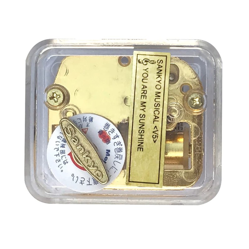 BinkeGG Clear Acrylic Wind up Music Box with Sankyo Musical
