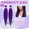 2 Purple Hair Extensions, 60cm Long Hair for Braiding, Hair