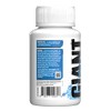 Giant Sports Performance Edge G-500 Glutamina - L- Glutamina -