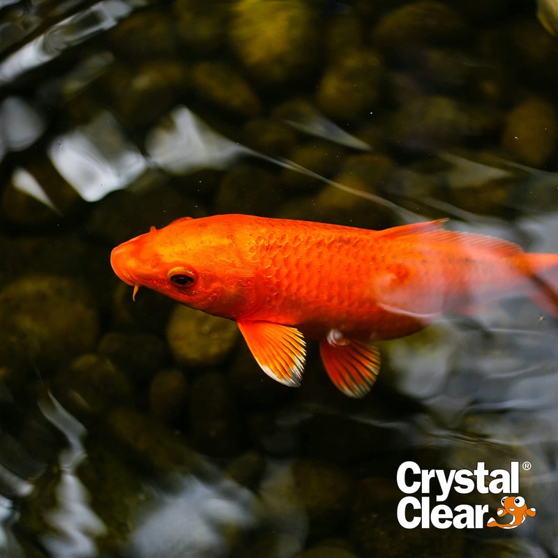 CrystalClear Algae D-Solv Pond Algae Control, Fast-Acting EPA Registered Algaecide,