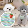 2PCS Charming Striped Dog Dress with Strawberry Patch & Lace