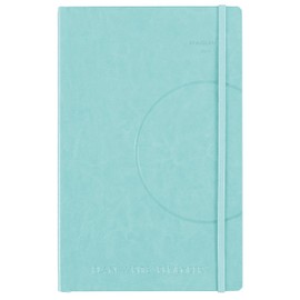 AT-A-GLANCE 2019 Weekly & Monthly Planner, Plan.Write.Remember., 3-3/8 x 5-1/4", Pocket, Color Selected For You (70603500)