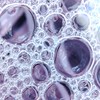Agua De Rosas Organica con Niacinamida. Hidratante, Humectante y Regenerante