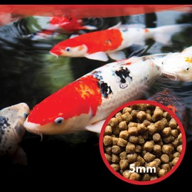 HALF OFF PONDS Show and Grow Koi and Goldfish Color Enhancing and Protein Food 30 lbs. Bag - KOISG-030
