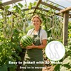 10 Packs Jute Melon Hammocks for Trellis, Watermelon Holder for