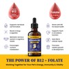 Special Breed Liquid Vitamin B12 for Dogs – Methylcobalamin and