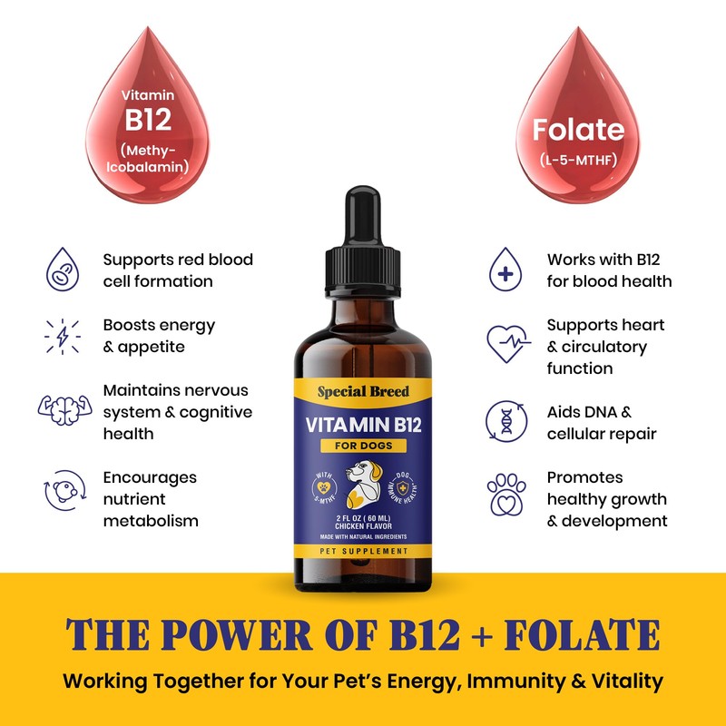 Special Breed Liquid Vitamin B12 for Dogs – Methylcobalamin and