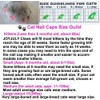 JOYJULY 100pcs Cat Nail Caps Kitten Caps Cat Caps Cat