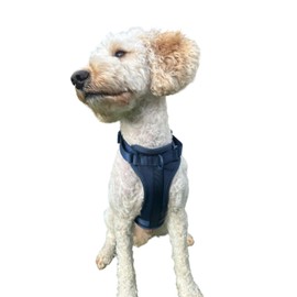 Waggin’ Adventures No-Pull Dog Harness – Adjustable, Soft-Padded, Breathable Vest with Front & Back Leash Clips – Blue (Large) – Neck 42–52 cm, Chest 71–98 cm