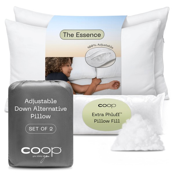 Coop Home Goods Essence Down Alternative Pillow Queen Size Set
