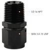 Podavelle 8AN Female Flare Swivel to 1/2 NPT Pipe Male