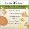 Herbal Roots Ginger Supplement | Organic Ginger Root Capsules |