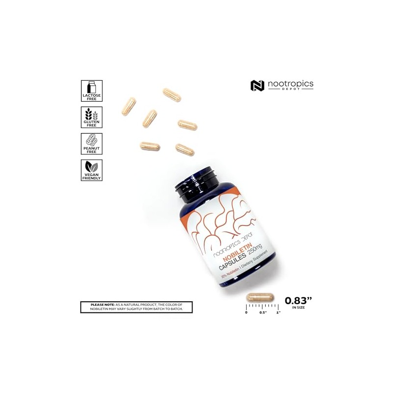 Nootropics Depot- Cápsulas de Nobiletina 250mg 30 Recuento 20 Extracto