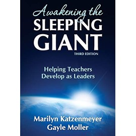 Awakening the Sleeping Giant