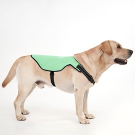 yrenoer Dog Cooling Vest Harness - Dog Cooler Jacket with Adjustable Buckle with Reflective Stripe UV Protection Pet T Shirt for Beach, Hiking, Walking (Green, M)