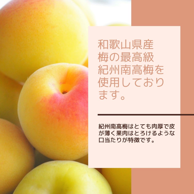 [Kiuchi Shoten] Kishu Nanko Plum Pickled Plum Pickled Seeds, Light