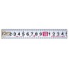 GUG2555 Gokushi Goma Prototype Measure 2.1 ft (5.5 m)