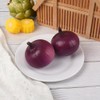 VIOCIWUO Artificial Onion 2PCS, Simulation Purple Onion Fake Vegetables Food