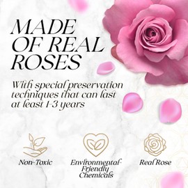 GLAMOUR BOUTIQUE Preserved Roses in a Box - Gifts for Her, Wife & Mom, Rose Flowers Forever Decor for Birthday Gift, Get Well Flower Bouquet Cased in White Box with Cover - Pink - 16-Piece