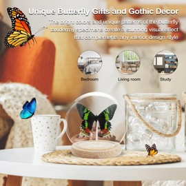 Sunset Moth Butterfly Framed Decoration - Handmade Glass Shadow Box Insect Frame for Butterfly Collectors - Tabletop, Wall Art,Live Room,Home Decor(Glass Ball)