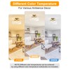 Slypadan Semi Flush Mount Ceiling Light, 12 Inch Large Gold
